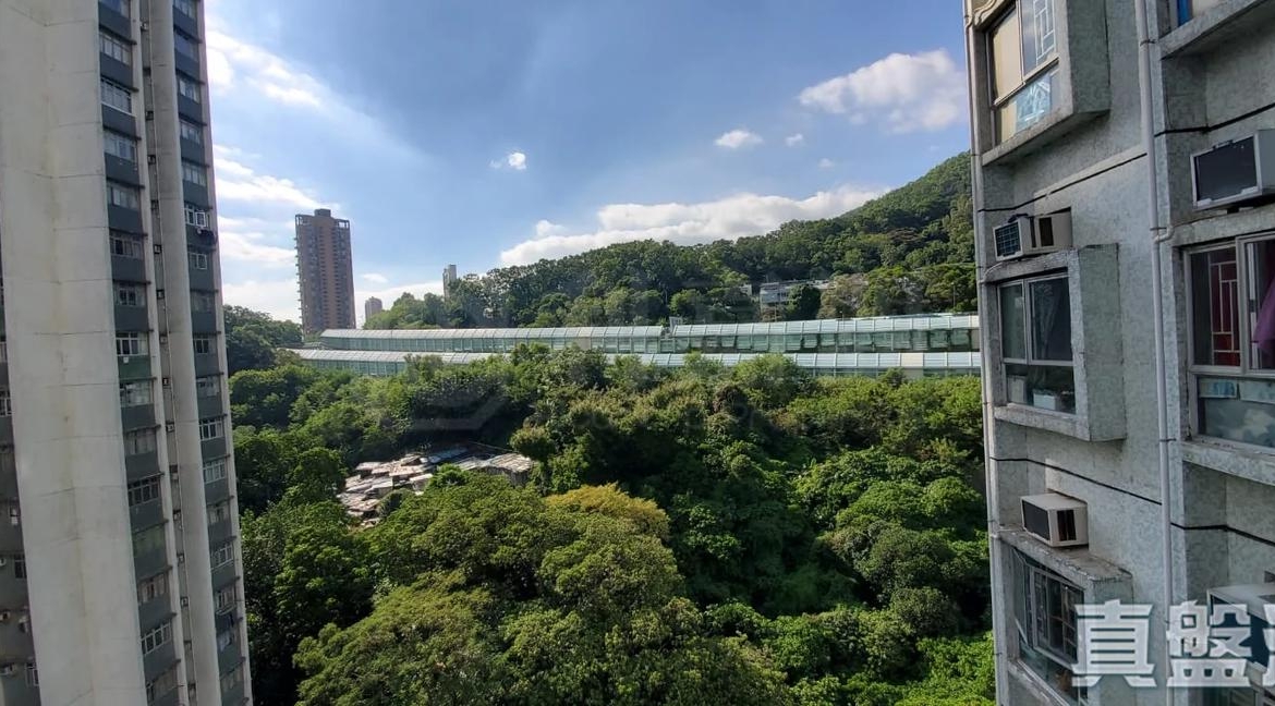 麗城花園 2期 9座 - 28NTS – 香港北部都會區