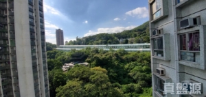 麗城花園 2期 9座 - 28NTS – 香港北部都會區