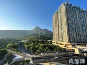 迎海 3期 迎海‧星灣御 25座 - 28NTS – 香港北部都會區