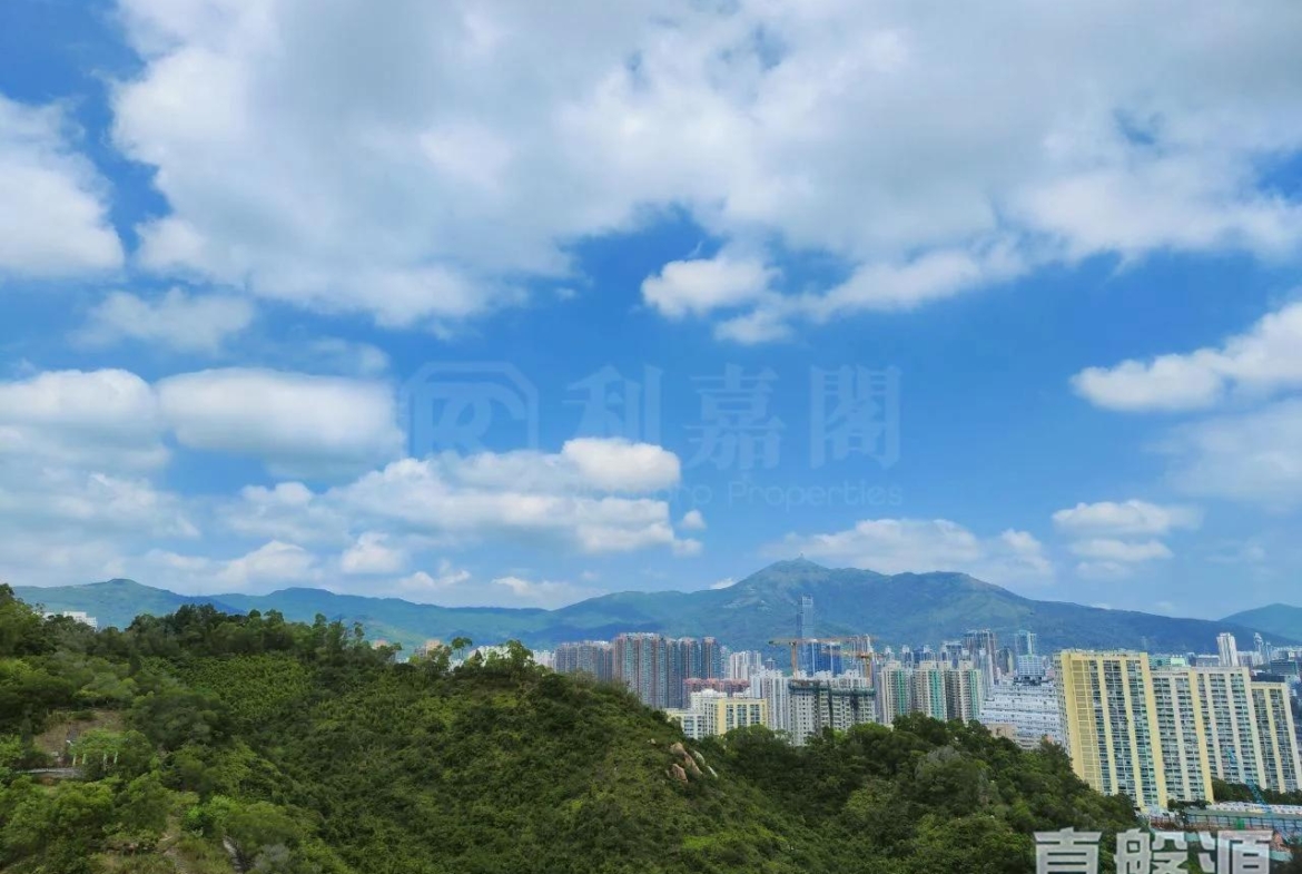 明翹匯 2A座 - 28NTS – 香港北部都會區