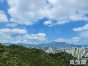 明翹匯 2A座 - 28NTS – 香港北部都會區