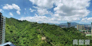 明翹匯 2A座 - 28NTS – 香港北部都會區