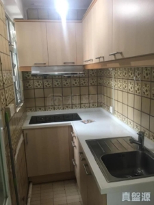 好順景大廈 1座 (A座) - 28NTS – 香港北部都會區