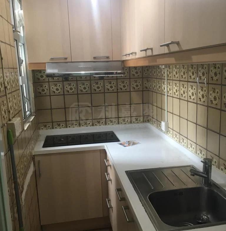 好順景大廈 1座 (A座) - 28NTS – 香港北部都會區