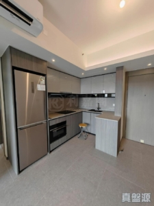 YOHO WEST 2期 YOHO WEST PARKSIDE 1B座 - 28NTS – 香港北部都會區