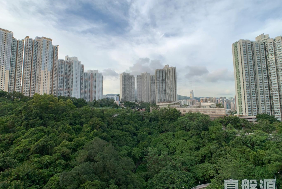 曉峰園 2座 - 28NTS – 香港北部都會區