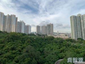 曉峰園 2座 - 28NTS – 香港北部都會區