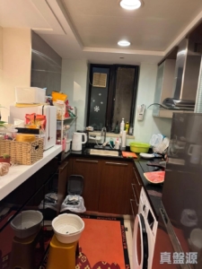 爵悅庭 北爵軒 (B2) - 28NTS – 香港北部都會區