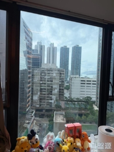 爵悅庭 北爵軒 (B2) - 28NTS – 香港北部都會區