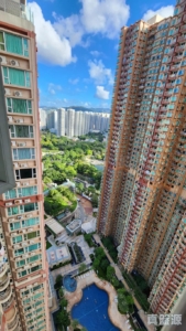 栢慧豪園 2期 栢慧豪廷 8座 - 28NTS – 香港北部都會區