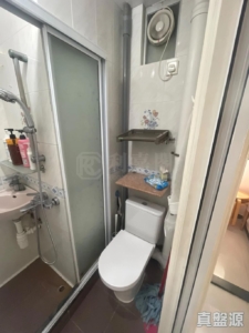 青盛苑 - 28NTS – 香港北部都會區