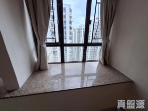 大興花園 2期 4座 - 28NTS – 香港北部都會區