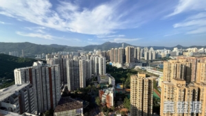 綠悠雅苑 1座 - 28NTS – 香港北部都會區