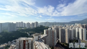綠悠雅苑 1座 - 28NTS – 香港北部都會區