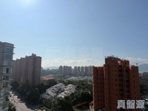 黃金海灣 2期 珀岸 1座 (1A) - 28NTS – 香港北部都會區