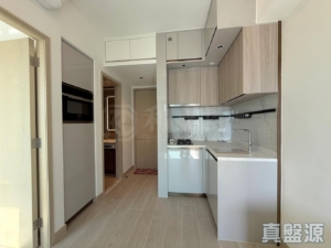 黃金海灣 2期 珀岸 1座 (1A) - 28NTS – 香港北部都會區