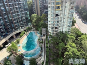 黃金海灣 2期 珀岸 1座 (1A) - 28NTS – 香港北部都會區