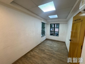 夏威夷豪園 - 28NTS – 香港北部都會區