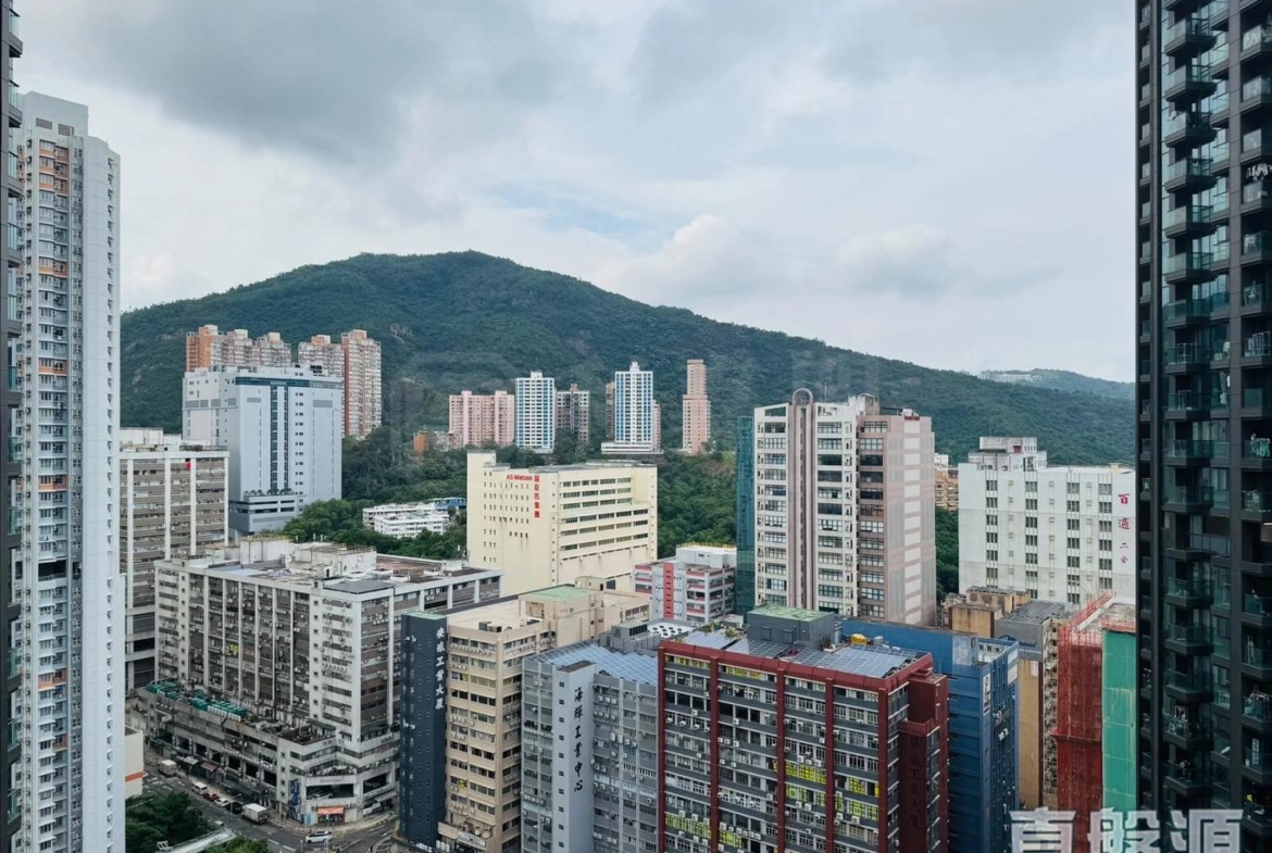 星凱．堤岸 2座 - 28NTS – 香港北部都會區