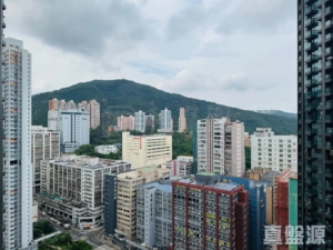 星凱．堤岸 2座 - 28NTS – 香港北部都會區