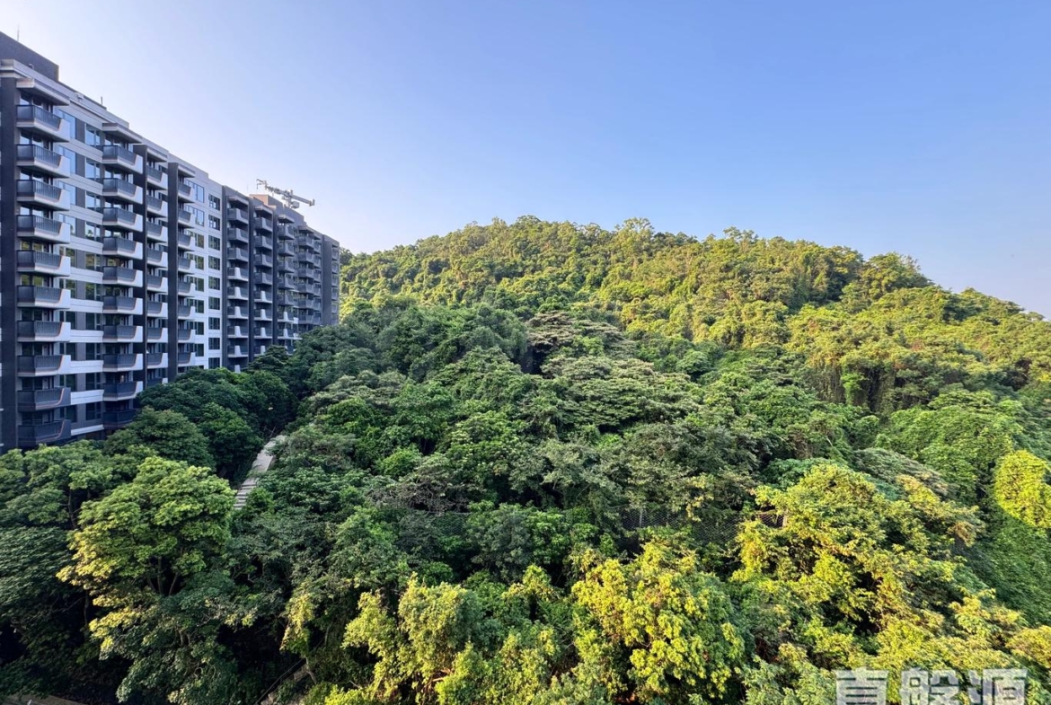 上然 1期 2座 - 28NTS – 香港北部都會區