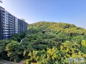 上然 1期 2座 - 28NTS – 香港北部都會區