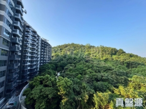 上然 1期 2座 - 28NTS – 香港北部都會區