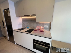 NOVO LAND 1B期 Bergen 1座 - 28NTS – 香港北部都會區