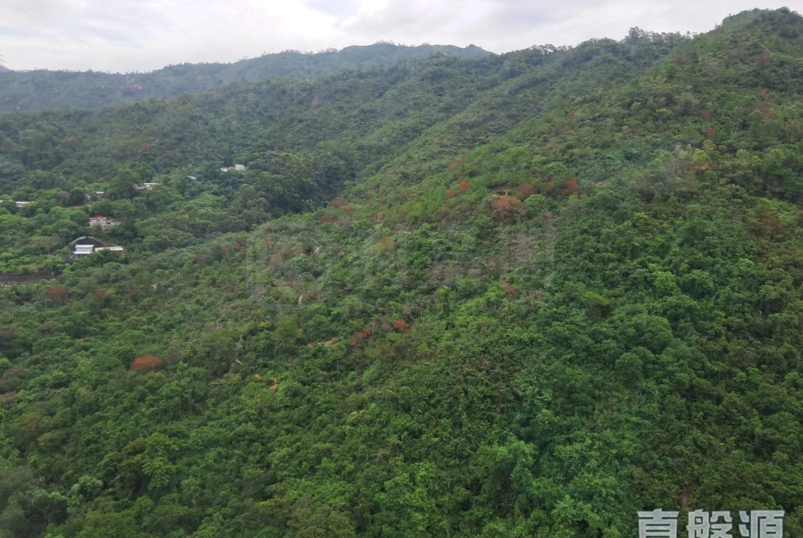 景新臺 4座 - 28NTS – 香港北部都會區