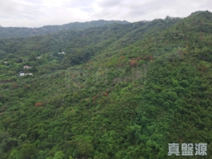 景新臺 4座 - 28NTS – 香港北部都會區