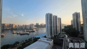 麗城花園 3期 1座 - 28NTS – 香港北部都會區