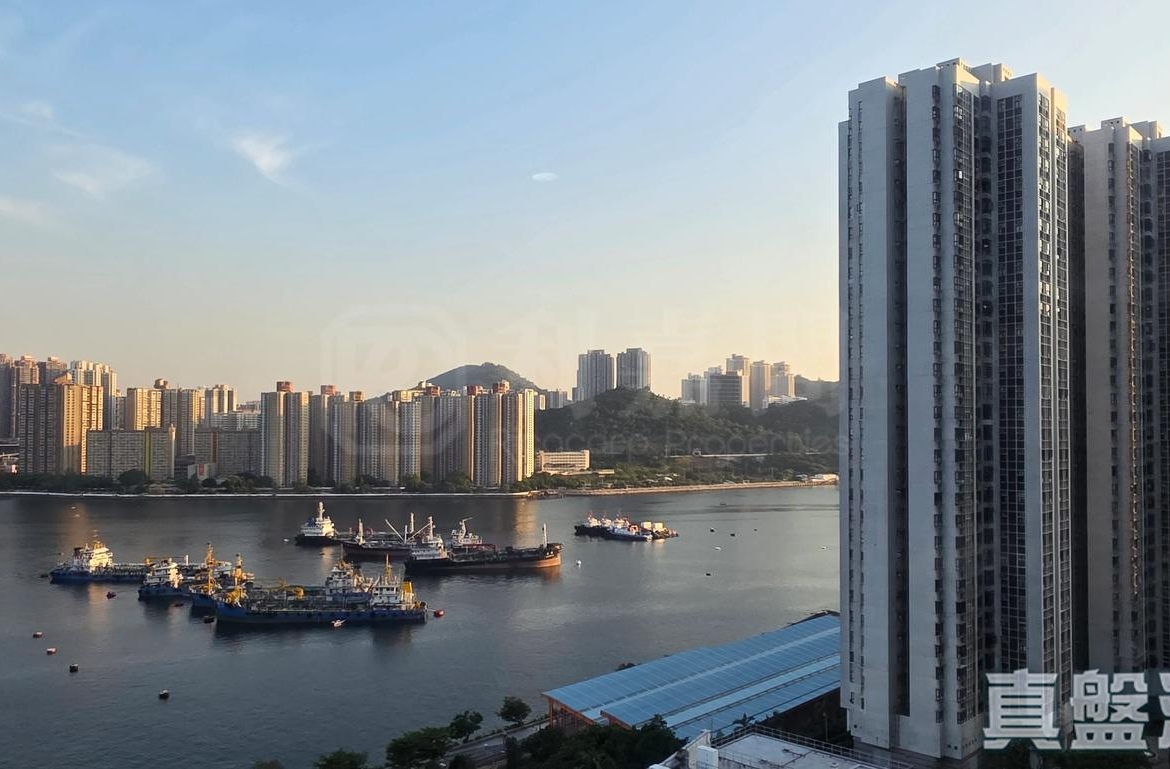 麗城花園 3期 1座 - 28NTS – 香港北部都會區