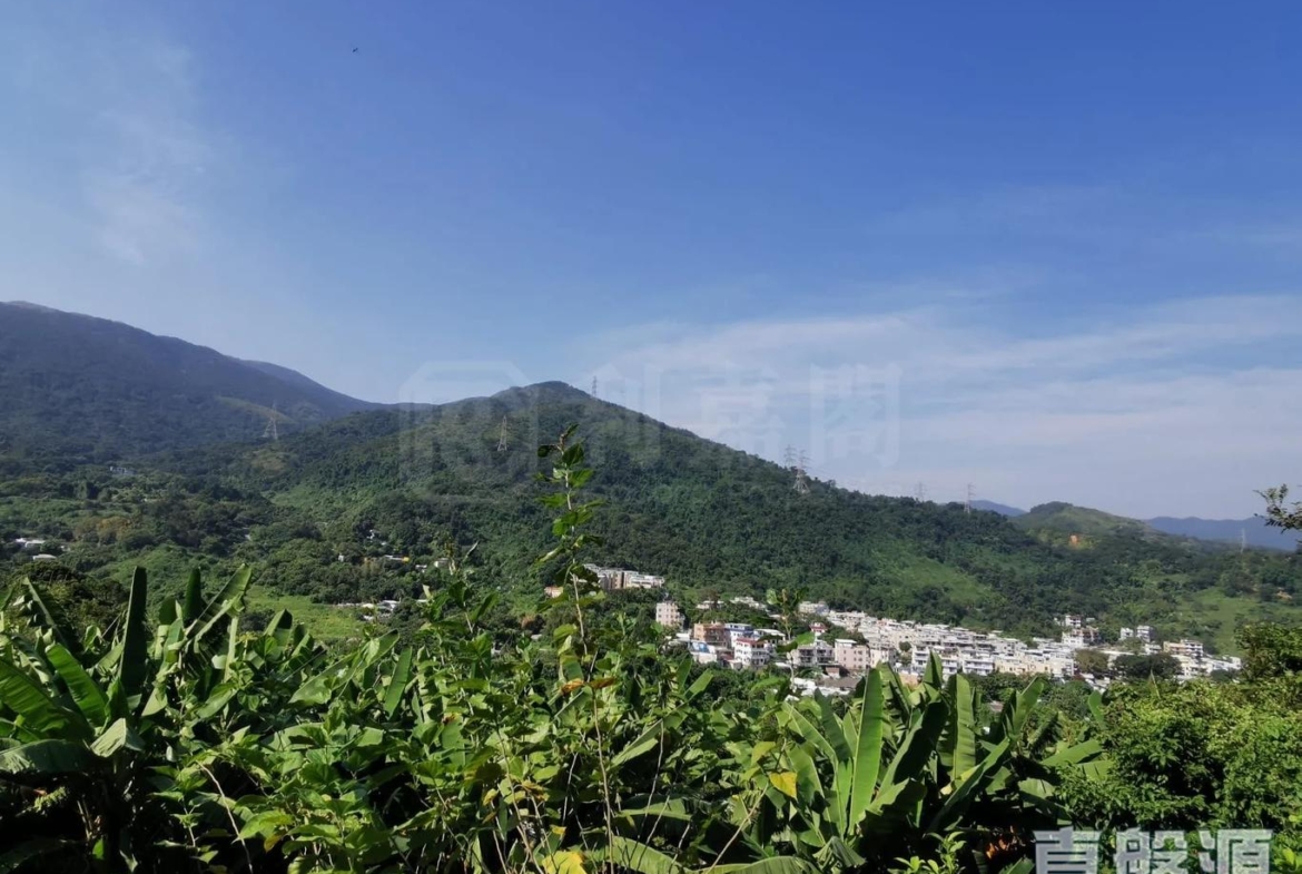 山頂花園 - 28NTS – 香港北部都會區