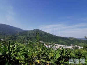 山頂花園 - 28NTS – 香港北部都會區