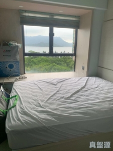 海柏花園 1座 - 28NTS – 香港北部都會區