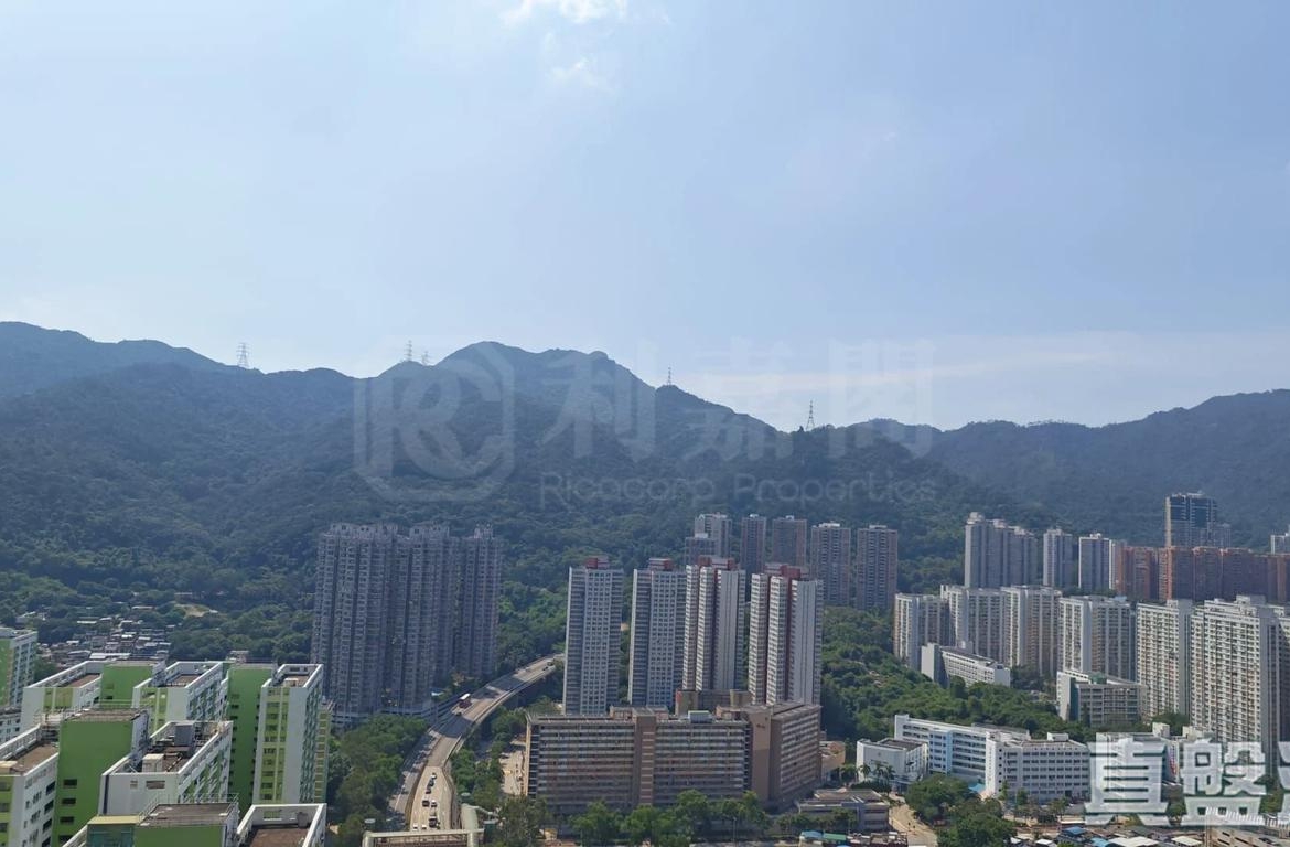 柏傲莊 2期 6座 (6B) - 28NTS – 香港北部都會區