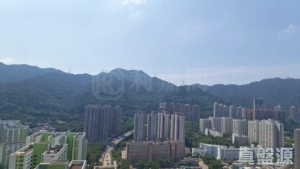 柏傲莊 2期 6座 (6B) - 28NTS – 香港北部都會區