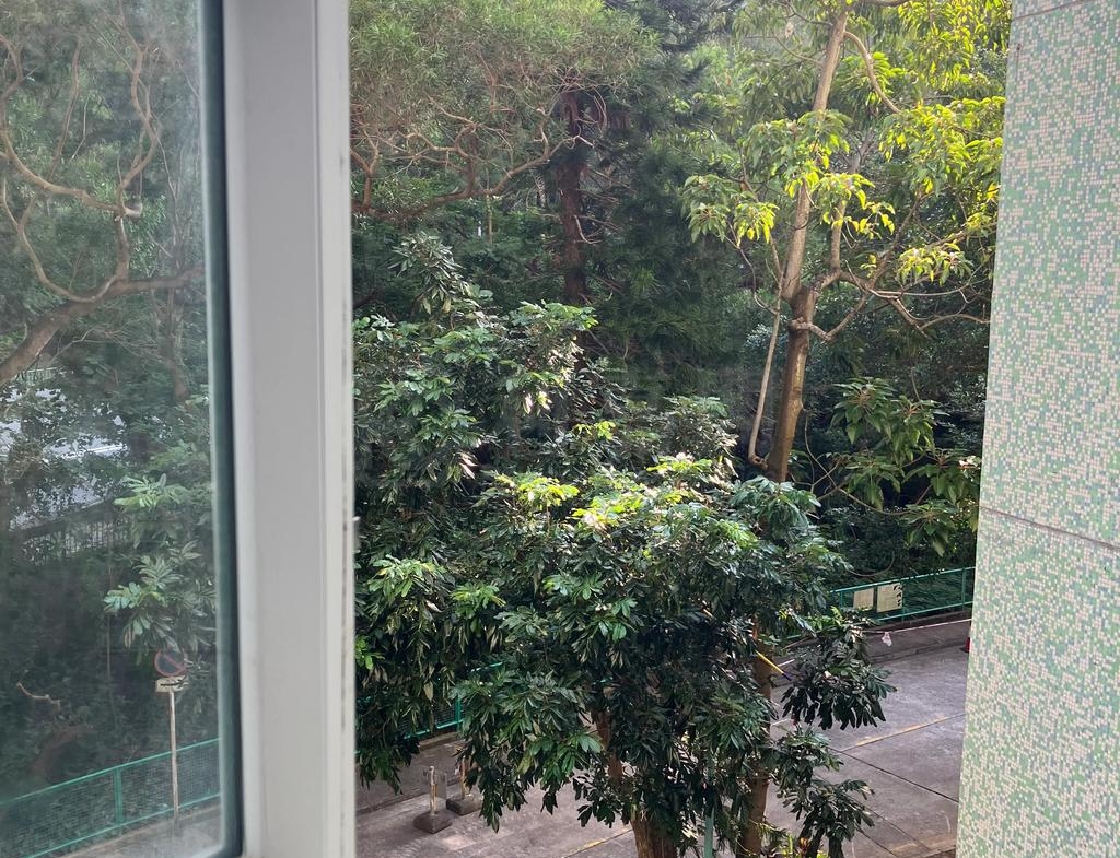 富寶花園 8座 - 28NTS – 香港北部都會區