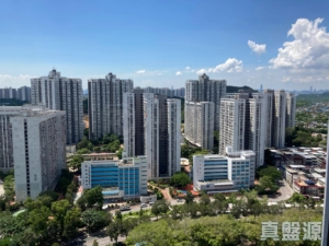 朗屏8號 2座 - 28NTS – 香港北部都會區