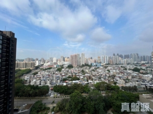 溱柏 9座 - 28NTS – 香港北部都會區