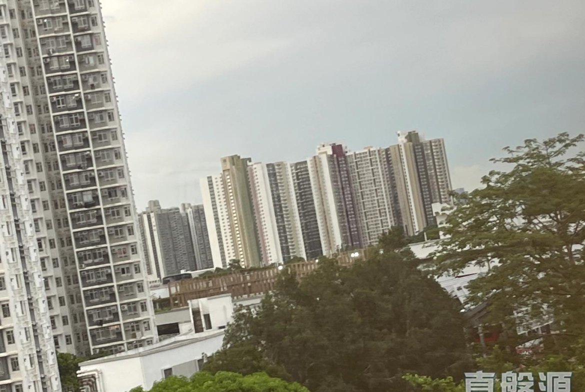 滙都 2期 滙都 II 5座 - 28NTS – 香港北部都會區