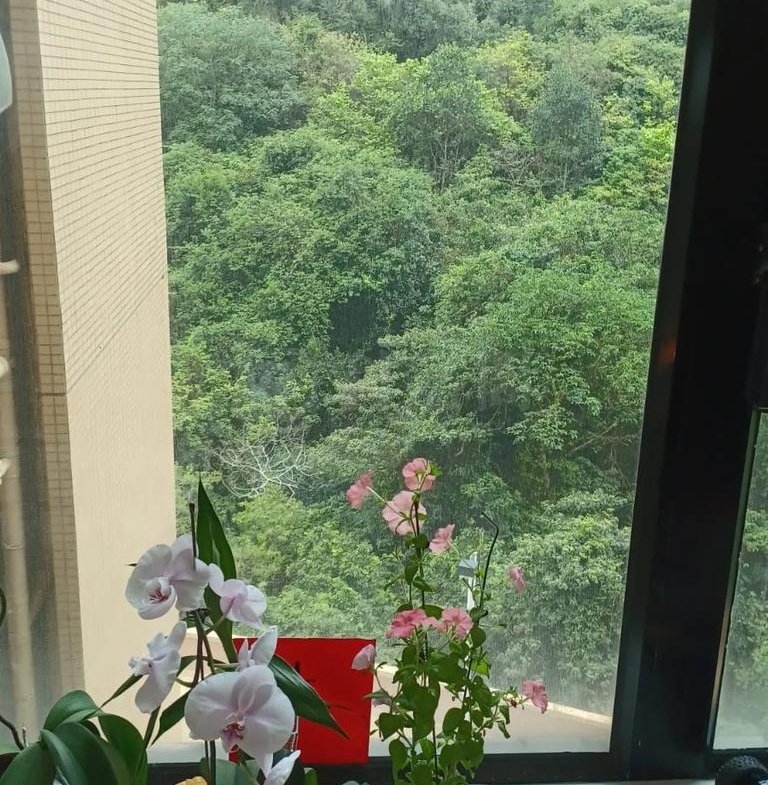 曉峰園 5座 - 28NTS – 香港北部都會區