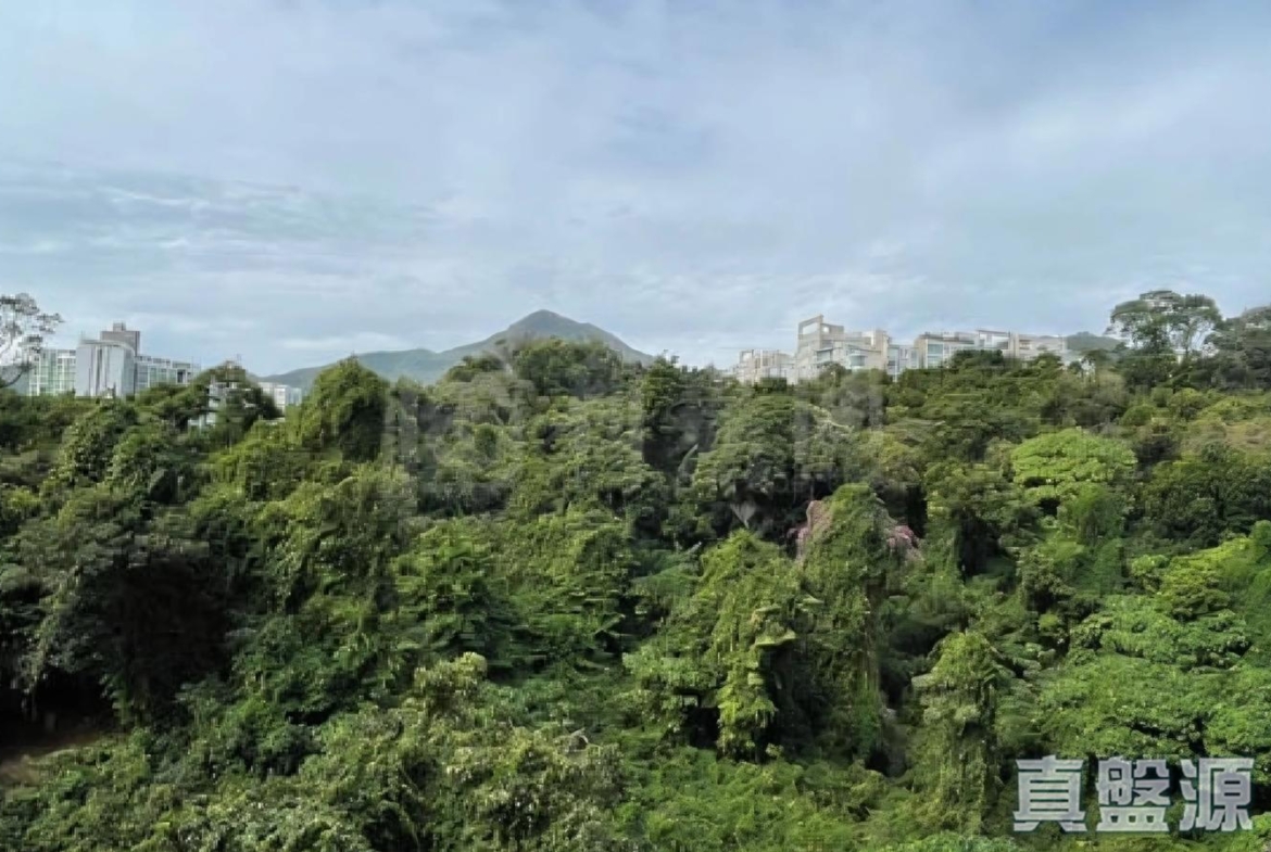 嘉御山 2座 - 28NTS – 香港北部都會區