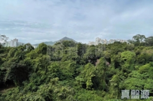 嘉御山 2座 - 28NTS – 香港北部都會區