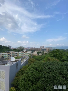 紫珊園 1座 - 28NTS – 香港北部都會區
