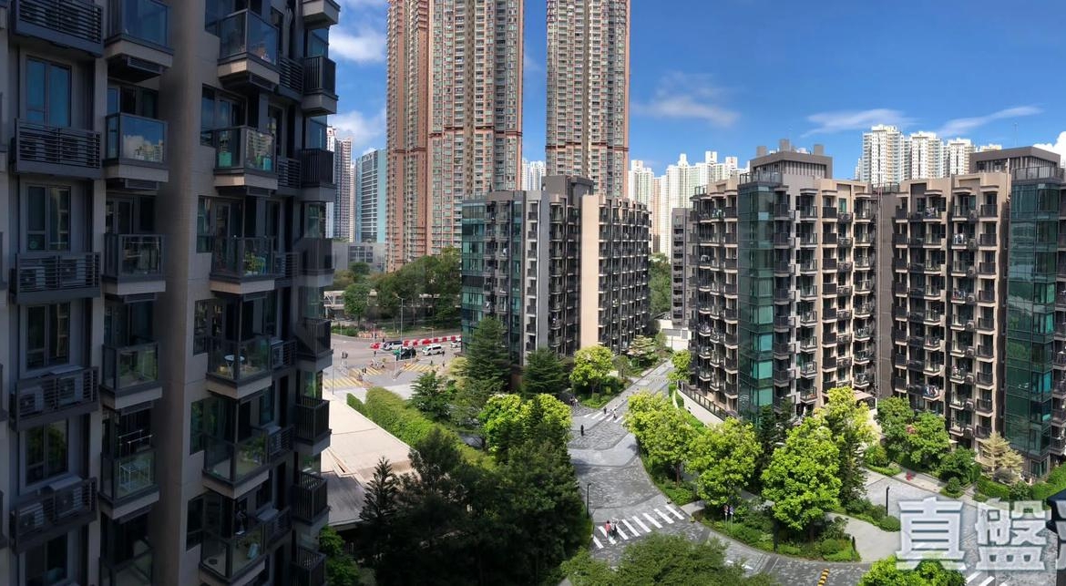 WETLAND SEASONS PARK 2期 12座 - 28NTS – 香港北部都會區