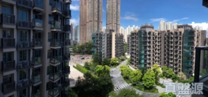 WETLAND SEASONS PARK 2期 12座 - 28NTS – 香港北部都會區