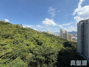 明翹匯 1A座 - 28NTS – 香港北部都會區