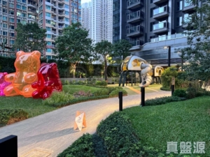 YOHO WEST 1期 2B座 - 28NTS – 香港北部都會區