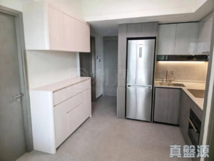 YOHO WEST 1期 3A座 - 28NTS – 香港北部都會區